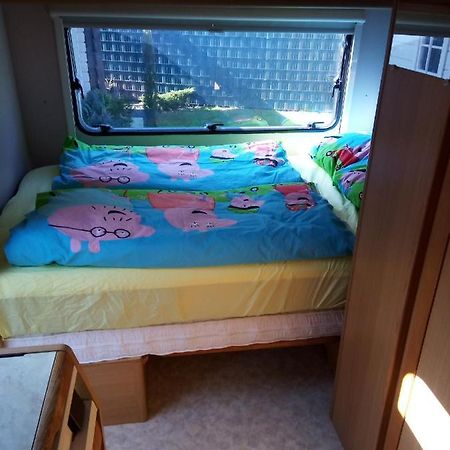 Urlaub Machen Direkt Am Irland Das Kinderparadies In Twisteden Im Grossen Garten Bei Privatleute Fur Maximal Sechs Personen Kevelaer Exteriör bild