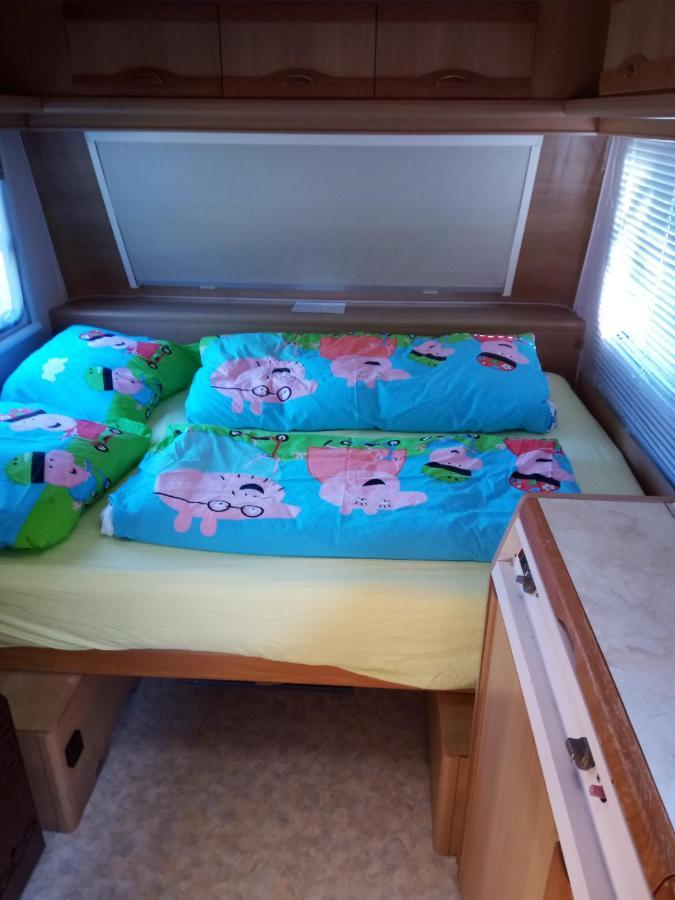 Urlaub Machen Direkt Am Irland Das Kinderparadies In Twisteden Im Grossen Garten Bei Privatleute Fur Maximal Sechs Personen Kevelaer Exteriör bild