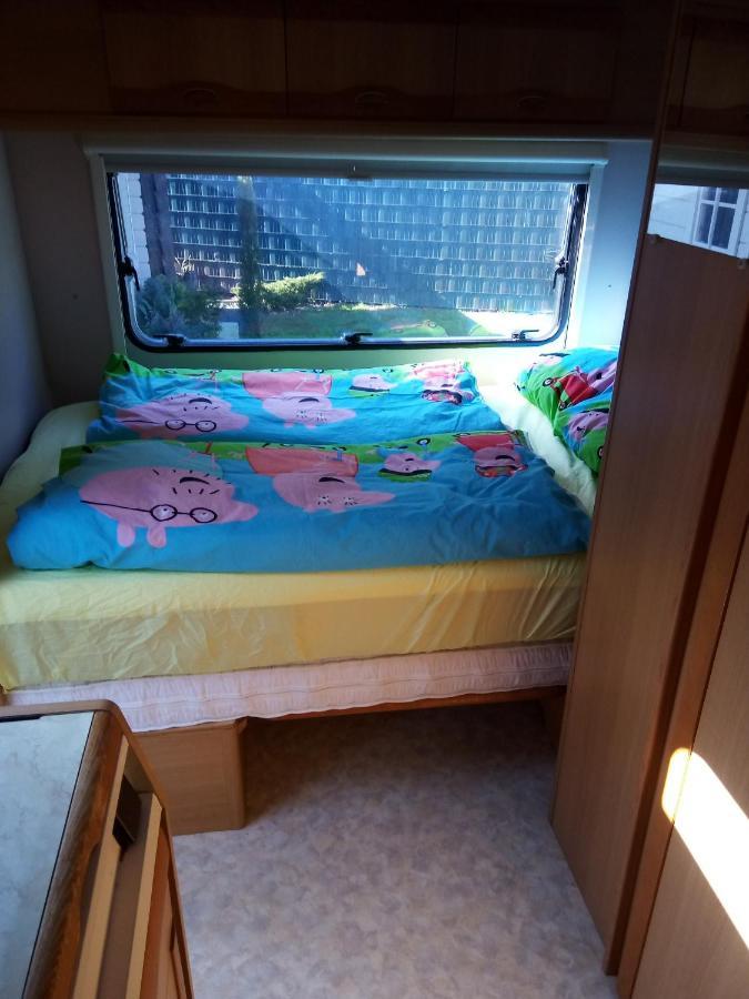Urlaub Machen Direkt Am Irland Das Kinderparadies In Twisteden Im Grossen Garten Bei Privatleute Fur Maximal Sechs Personen Kevelaer Exteriör bild